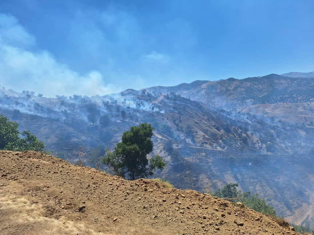 Bingöl'ün Genç ve Kiğı ilçelerinde orman yangını 13